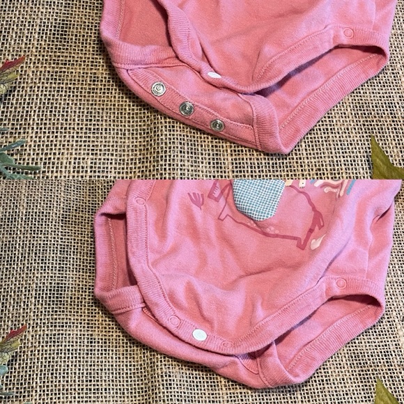 Homegrown Baby Organic Cotton Extendable Animal Motif Bodysuits, Set of 3 - Picture 2 of 3